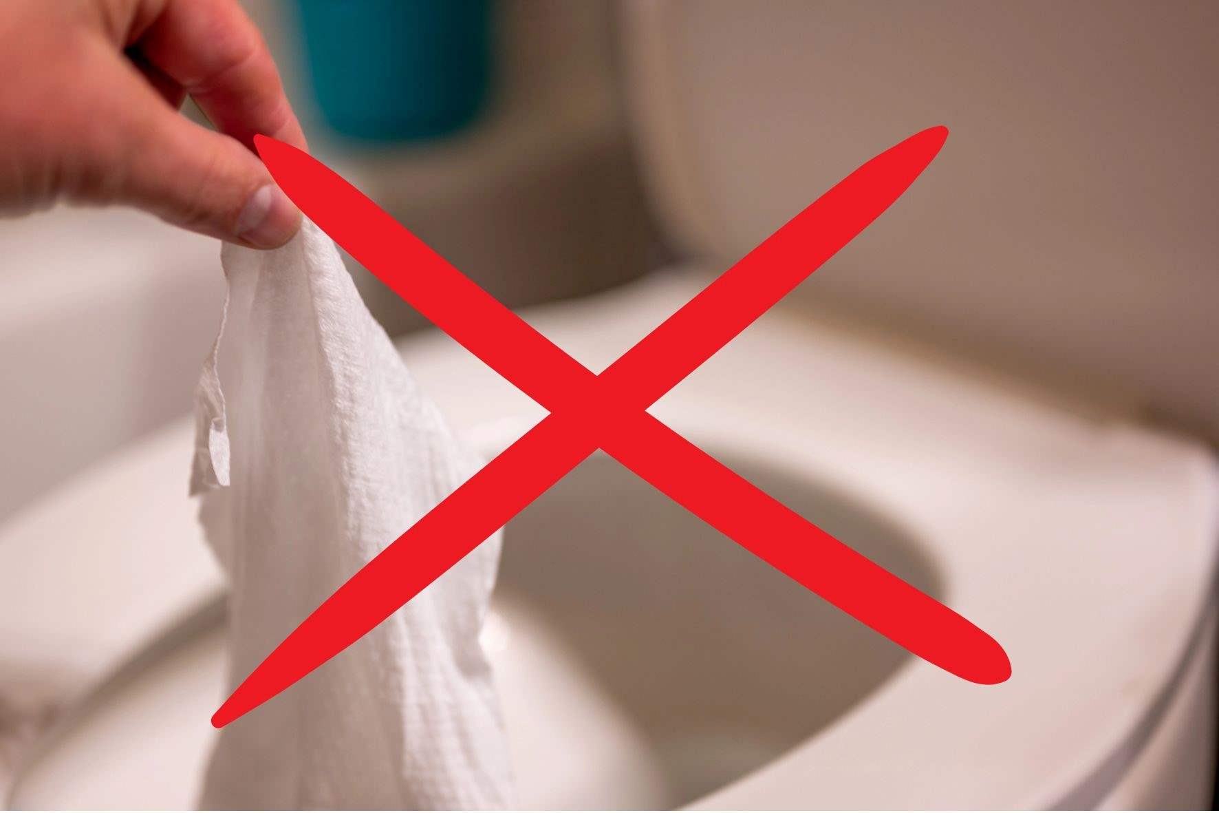 Les lingettes : pas dans la cuvette !