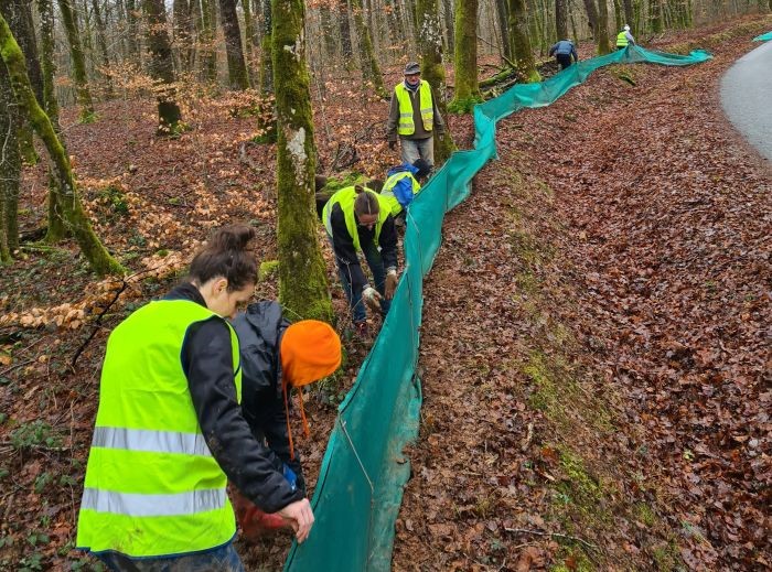 Appel aux volontaires pour sauver les amphibiens !